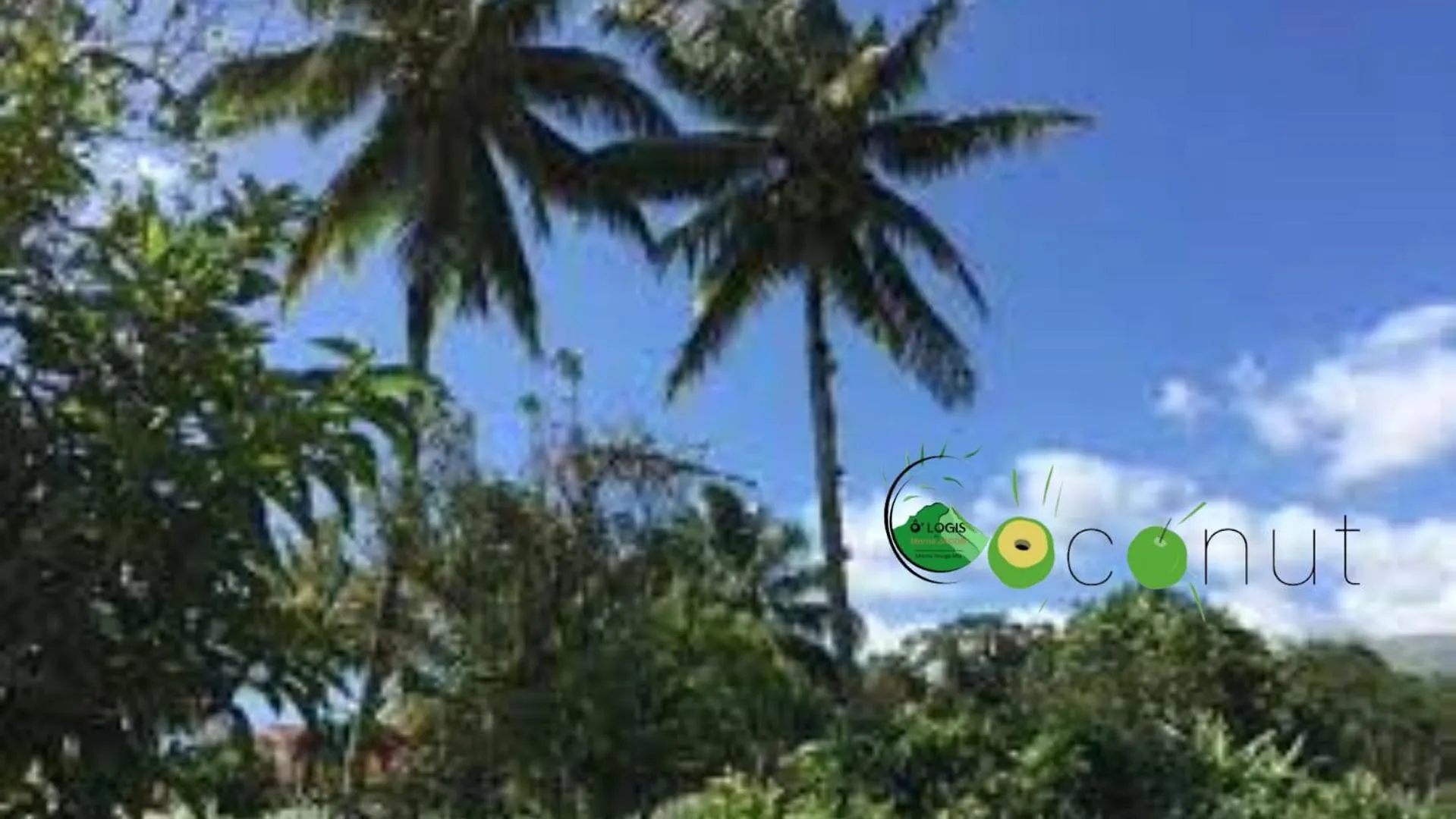 O Logis Du Morne Jacob 
